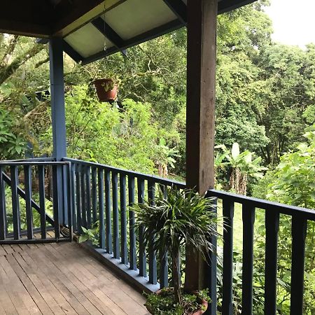 Casitas Rainy Days Hotel Monteverde Exterior photo